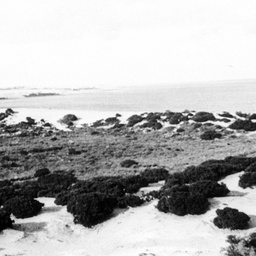 Overlooking The Coorong from Younghusband Peninsula