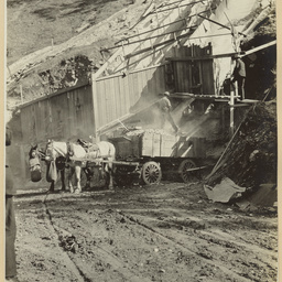 Photographs of Adelaide scenes