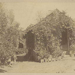 Robert Davenport family album