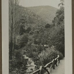 Road in the hills