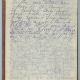 Diary of Trooper Miles Fletcher Swan