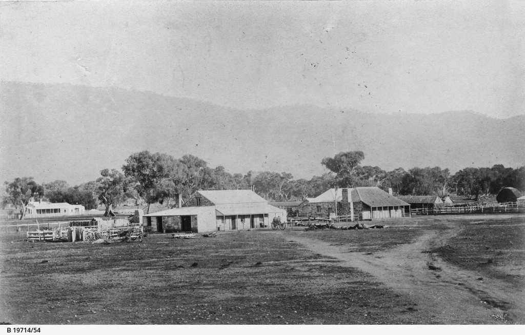 Mr Angas station • Photograph • State Library of South Australia