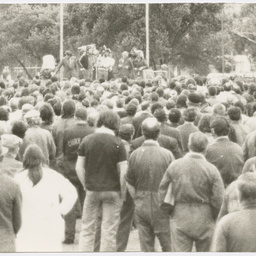 Crowd gathered at a demonstration
