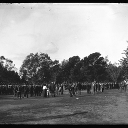 Collection of photographs taken around Adelaide by Theo Bachmann
