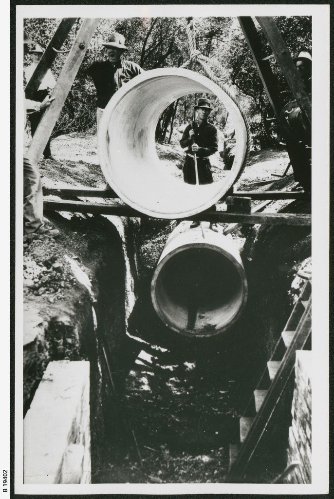 Heywood Park, Unley • Photograph • State Library of South Australia