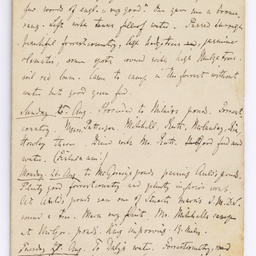 Handwritten diary of Dr Renner.