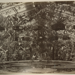 Adelaide and the Adelaide Hills: album of views