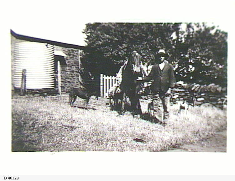 Strathalbyn • Photograph • State Library of South Australia