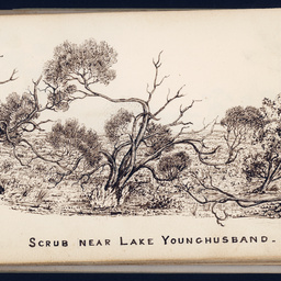 Sketches by Babbage : Lake Younghusband