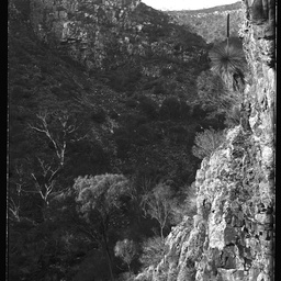 Collection of photographs taken around Adelaide by Theo Bachmann