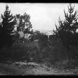 Collection of photographs taken around Adelaide by Theo Bachmann