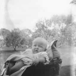 Child in a pram in the garden