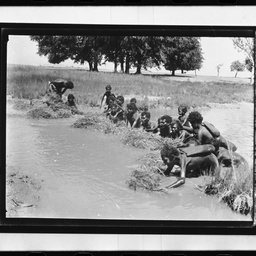 Catching fish in a waterhole