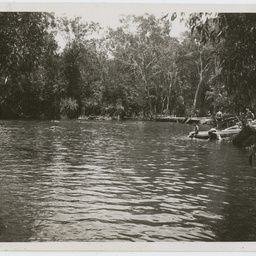 Colin James Ellis, World War II photograph album, Darwin.