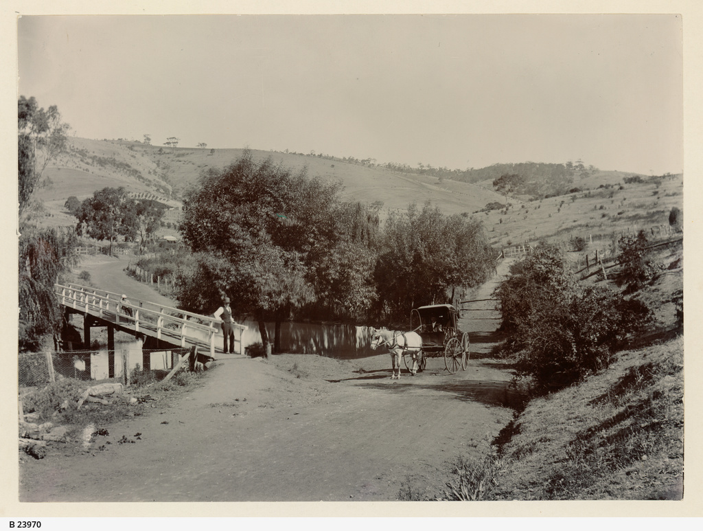 Coromandel Valley • Photograph • State Library of South Australia