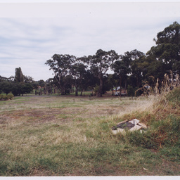 Photographs of outdoor and nature sites south of Adelaide