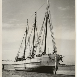 Photographs relating to Messenger Press : Boats, ships and yachts