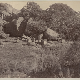 Granite Rocks