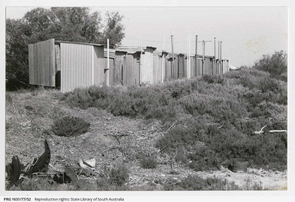 Fishermans Bay dunnys • Photograph • State Library of South Australia
