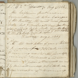 Log book of John White