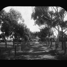 Wallaroo Mines views