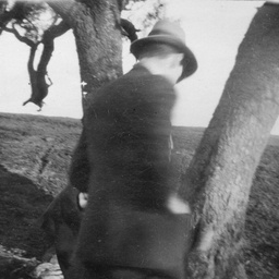 Man near tree