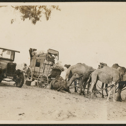Mail coaches, Cobbler Desert