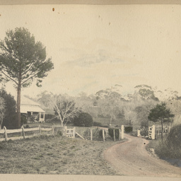 Robert Davenport family album