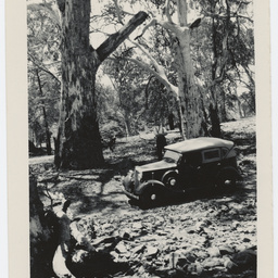 Scenes of South Australia