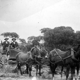 Overland mail to Fowlers Bay