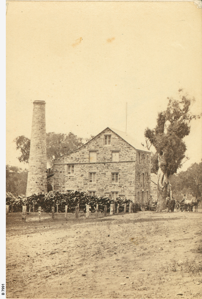Eden Valley • Photograph • State Library of South Australia