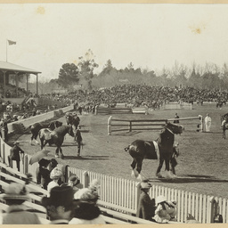 Photographs of Adelaide scenes