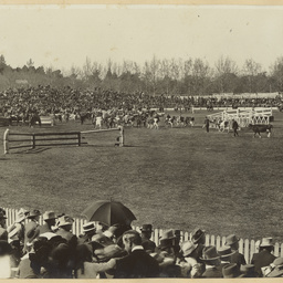 Photographs of Adelaide scenes