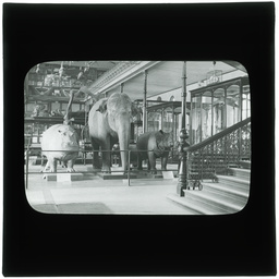 Development of Adelaide 1839-1914: series of lantern slides.