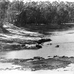 Low river with mud flats exposed opposite Echuca Wharf