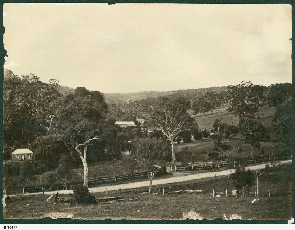 Dashwood Gully • Photograph • State Library of South Australia