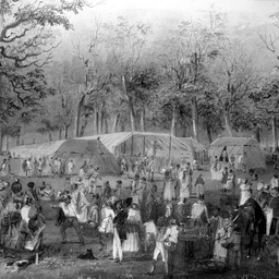 Agricultural & Horticultural Show, Adelaide, 1845