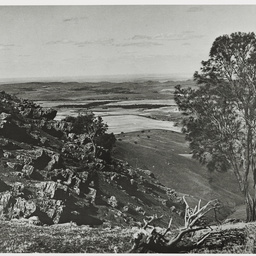 Selected photos taken by Henry Hammond Tilbrook