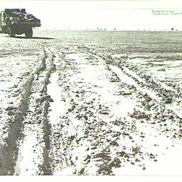 Birdsville Track