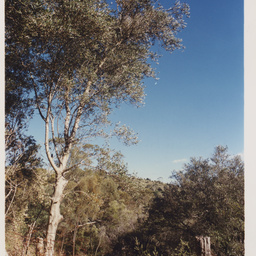 Photographs of outdoor and nature sites south of Adelaide