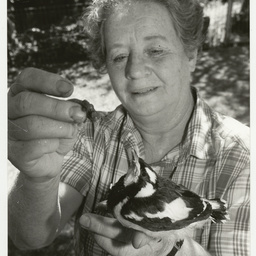 Photographs relating to standard people A-Q