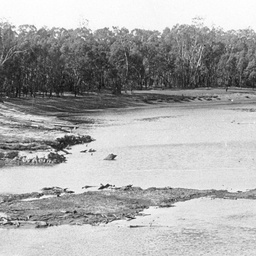 The reef exposed opposite Echuca Wharf