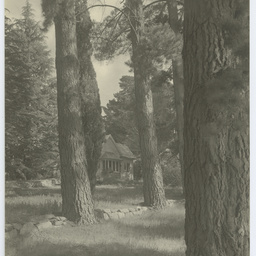 Photos of the Heysen family and The Cedars