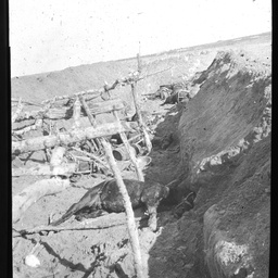 Egypt during World War I