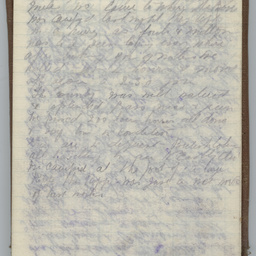 Diary of Trooper Miles Fletcher Swan