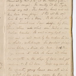Handwritten diary of Dr Renner.