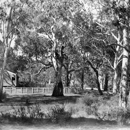 'Burbrook' near Kuitpo.