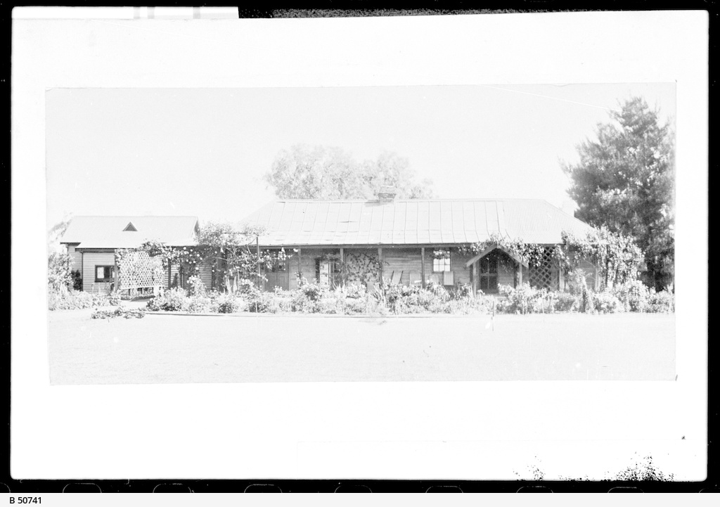 Penola Station, Penola • Photograph • State Library of South Australia