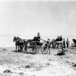 Excursion group at Lake Woytchugga near Wilcannia