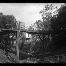 Collection of photographs taken around Adelaide by Theo Bachmann